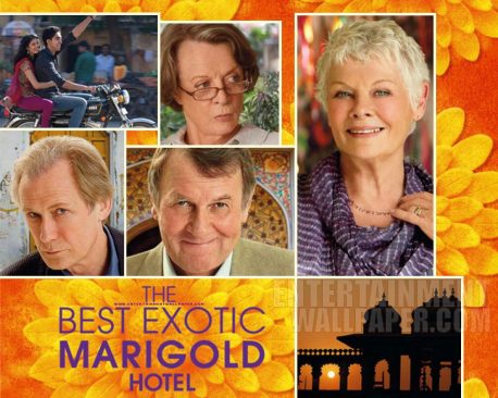 the-best-exotic-marigold-hotel021